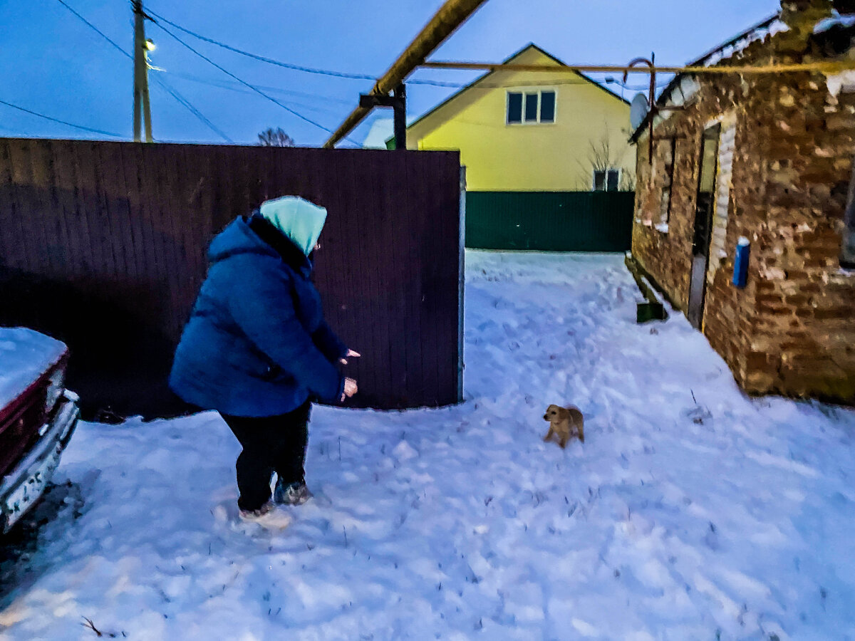 Сестра подобрала на улице маленького щенка. Отогрела, накормила. И теперь у  нее дома живет друг | Прекрасное рядом | Дзен