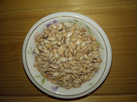 Фотография из личного архива автора