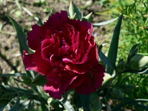 Реальность