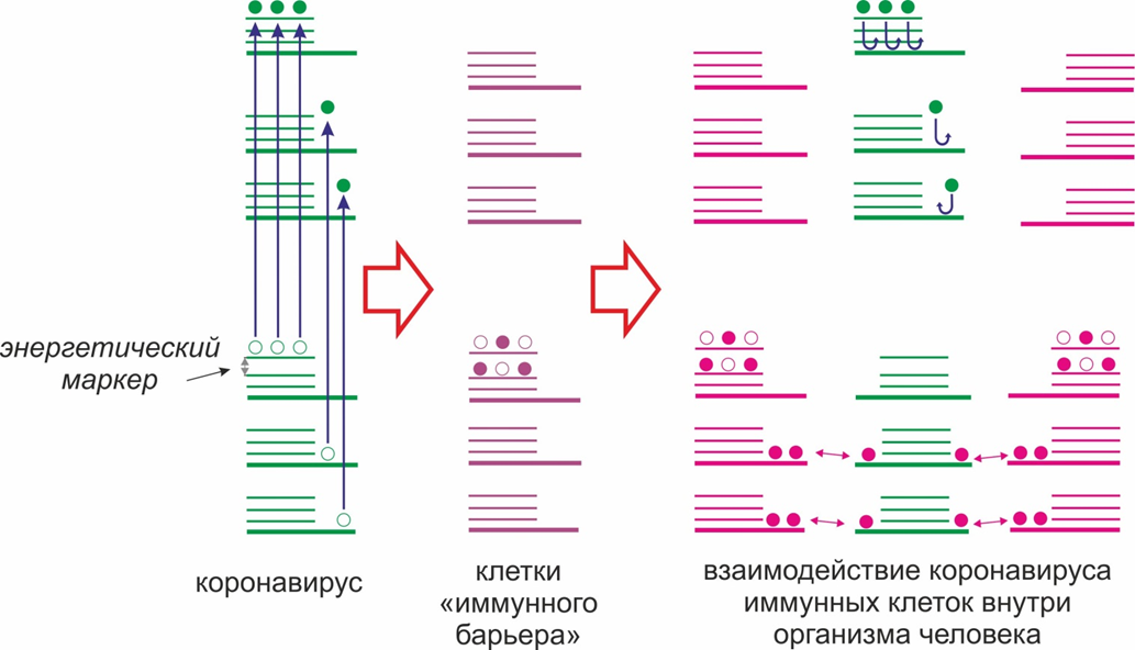 Основные секторы и процессы