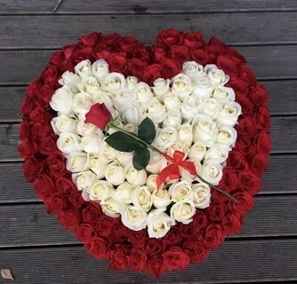 Фото из открытого интернет-источника