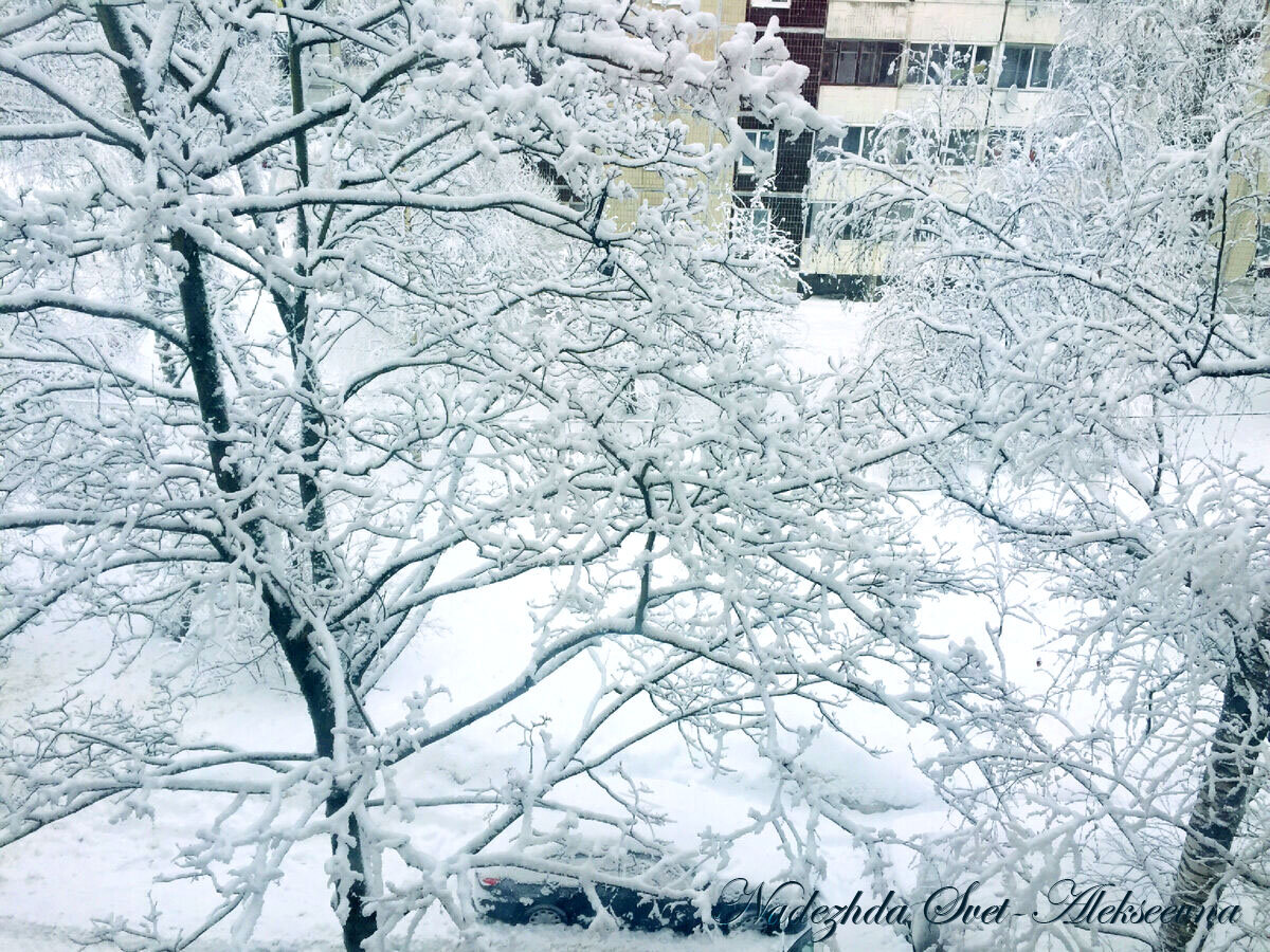 Вид из окна, зима, февраль, снег