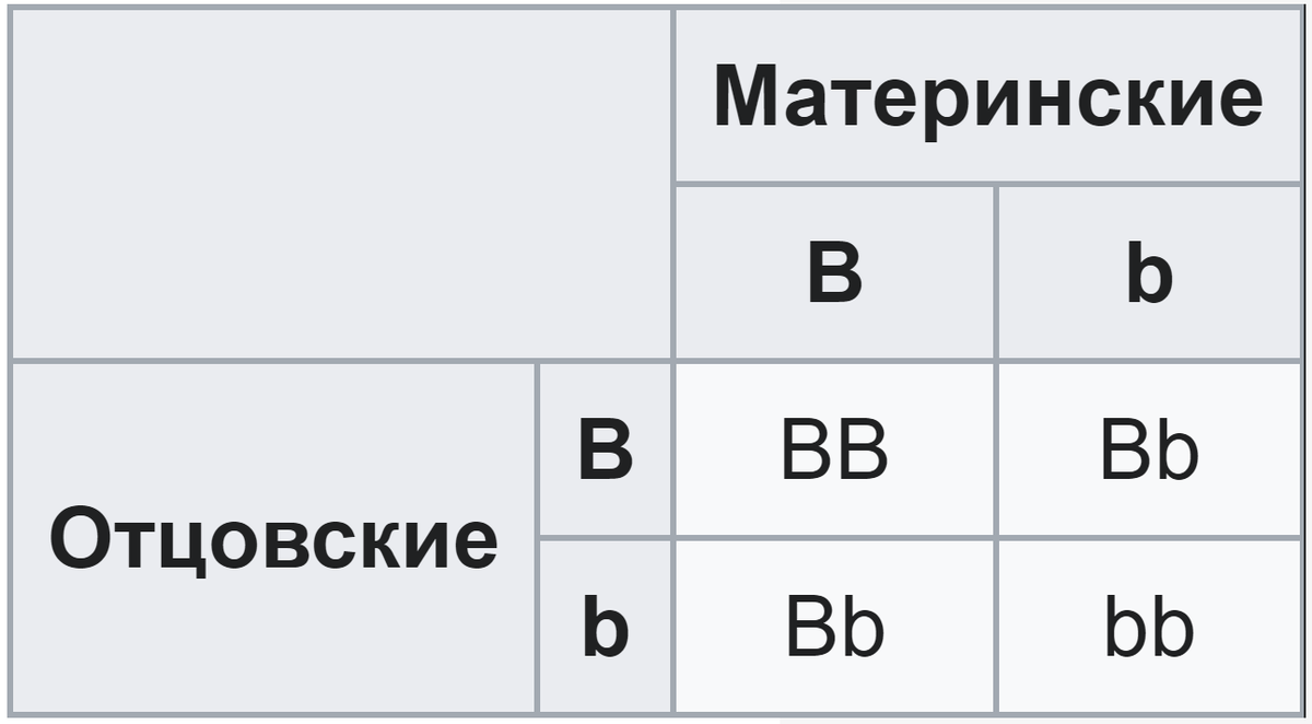 Моногибридное скрещивание.