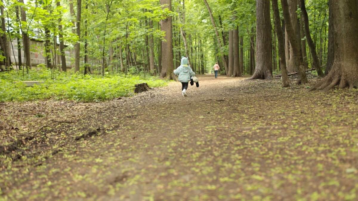 Сколько нужно ходить шагов в день?