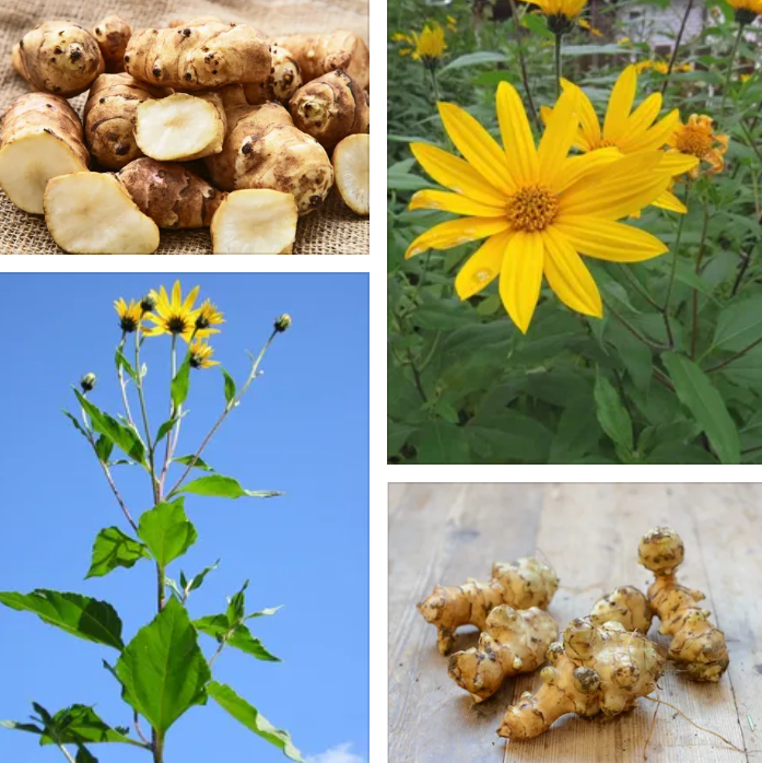 Источник: Яндекс