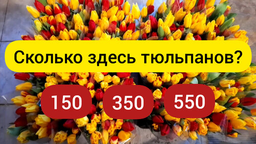 ⚫ Выгонка тюльпанов 2022 | Заключительное видео | Главное выжить