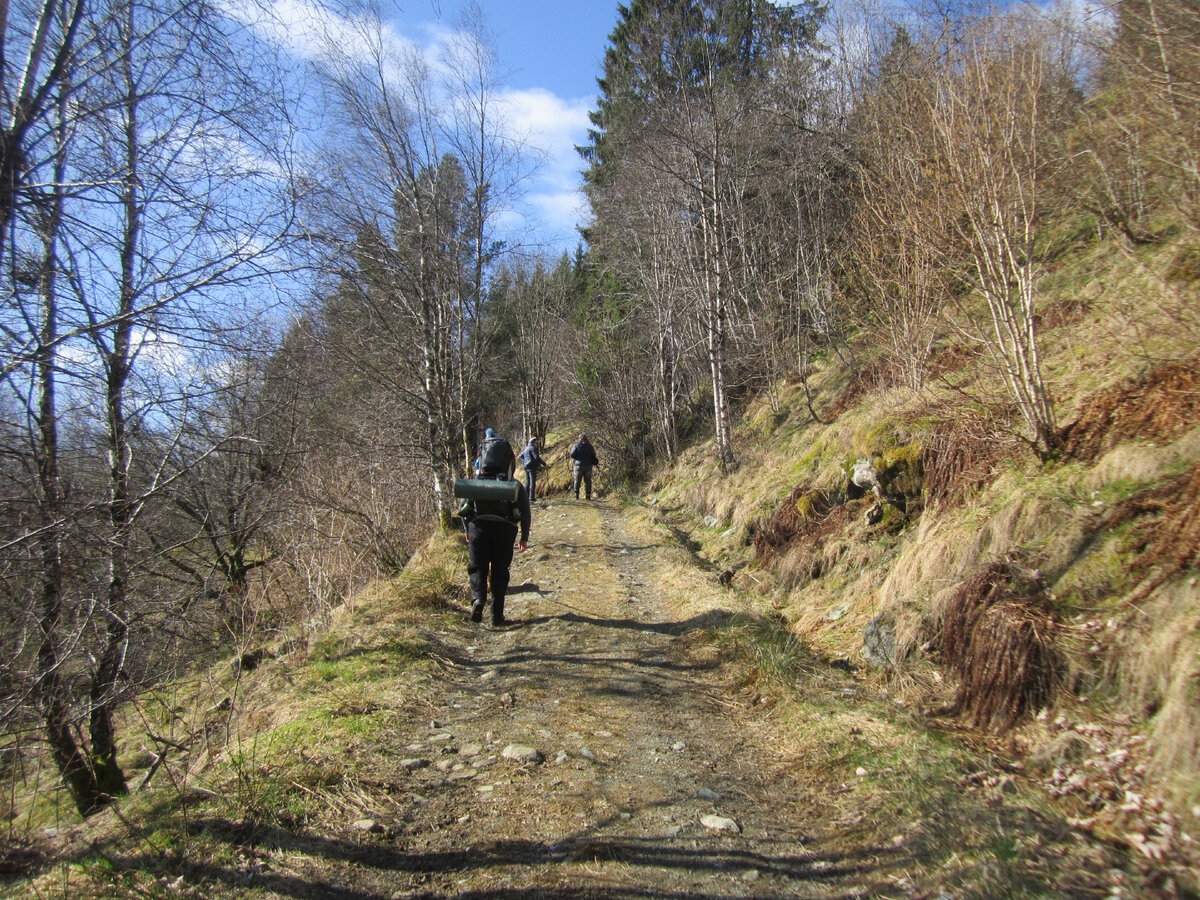 Очень помогают прогулки в лес. Способствуют душевному спокойствию. 