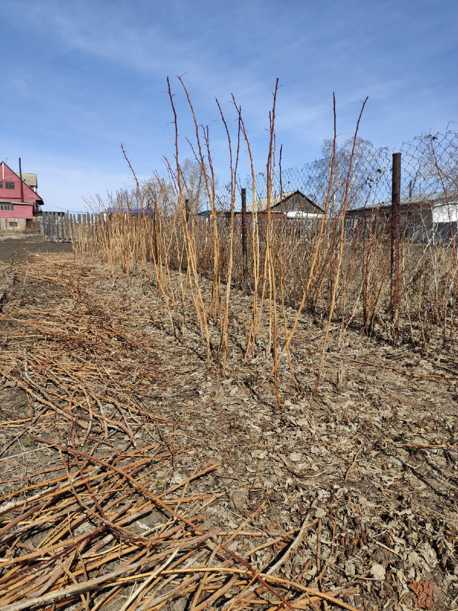 Что осталось