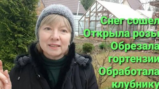 Сошел снег.Быстрее за работу в саду. Не все хорошо перезимовало.Розы. Гортензии. Клубника.