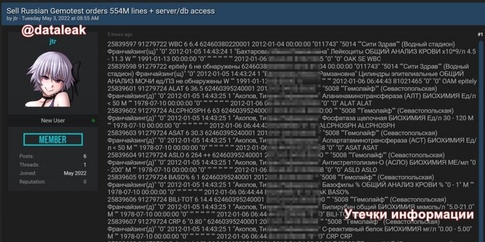 Фото:телеграм-канал "Утечки информации"