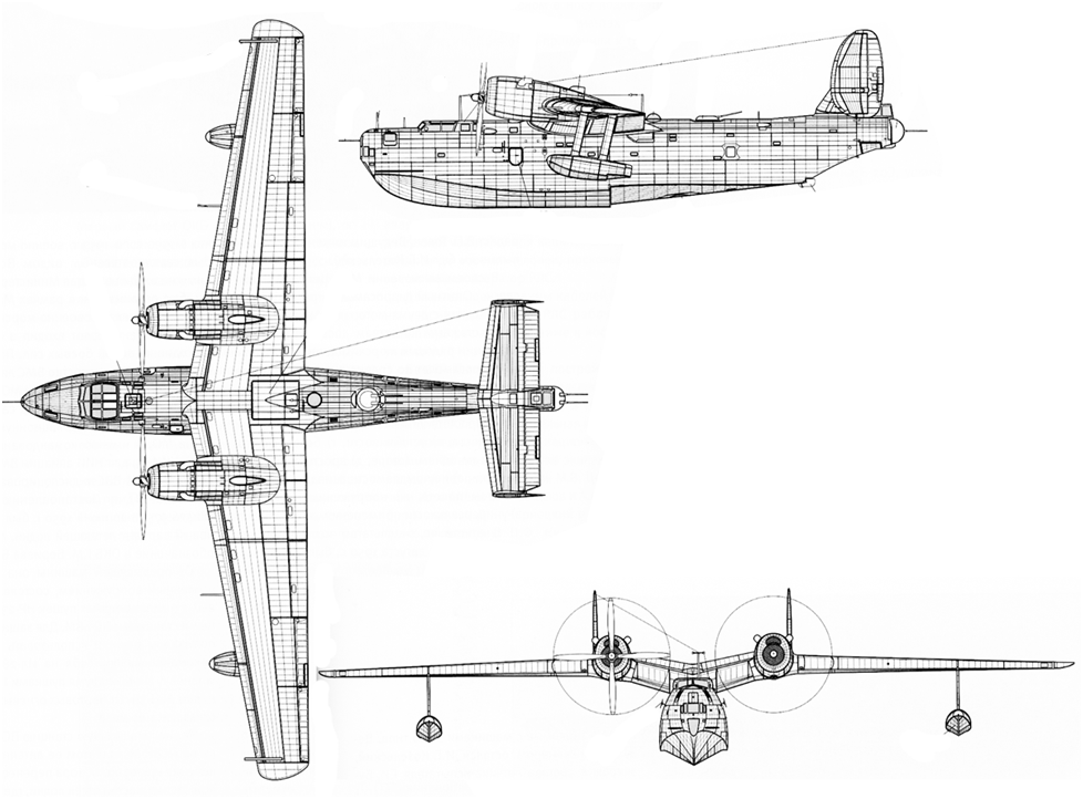 По своим лётно-техническим данным и мореходным качествам Бе-6 значительно превосходил находящуюся на вооружении авиации ВМС американскую лодку «Каталину». Гидросамолёт мог эксплуатироваться при ветровой волне высотой 1,5 м и ветре до 20 м/с, что позволяло использовать его на Северном и Тихоокеанском театре военных действий.
