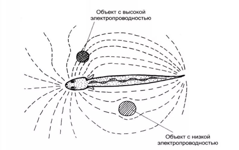 Физика процесса