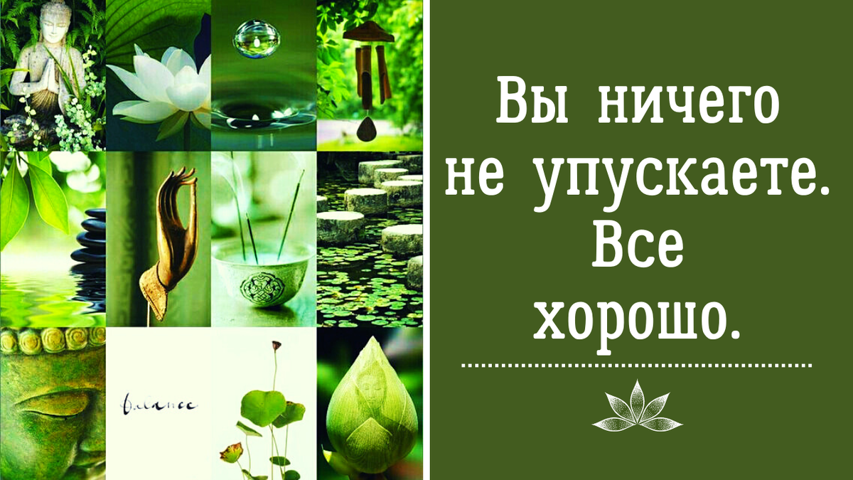 Вы ничего не упускаете. Все хорошо | Анна Клишина. Путешествия без границ |  Дзен