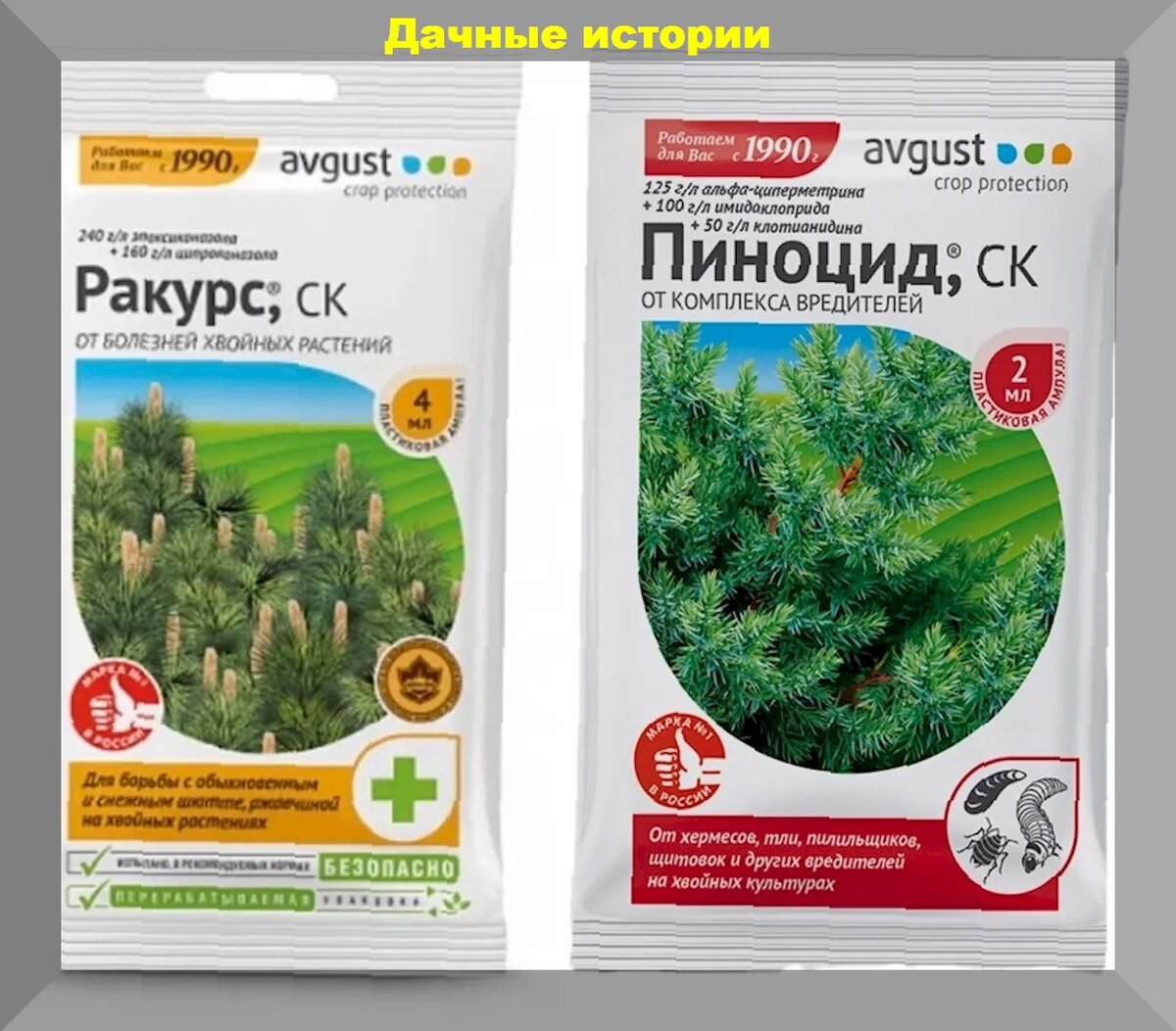 https://vk.com/photo-159774511_457255390