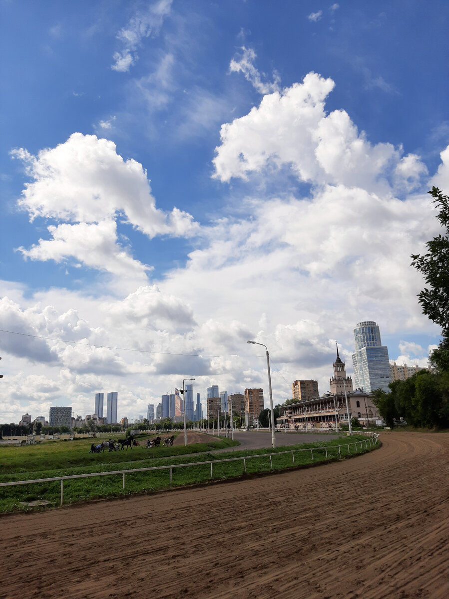 Тренировочные заезды на ипподроме и где-то на горизонте башенки Москва-сити