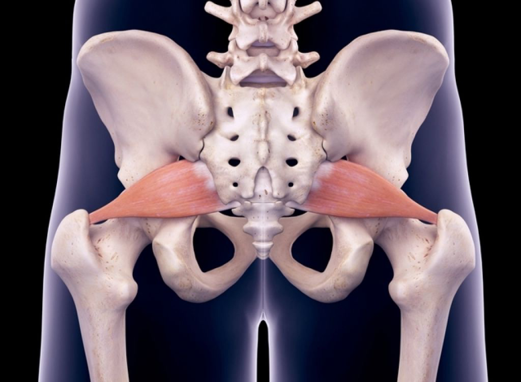 Obturatorius internus мышца