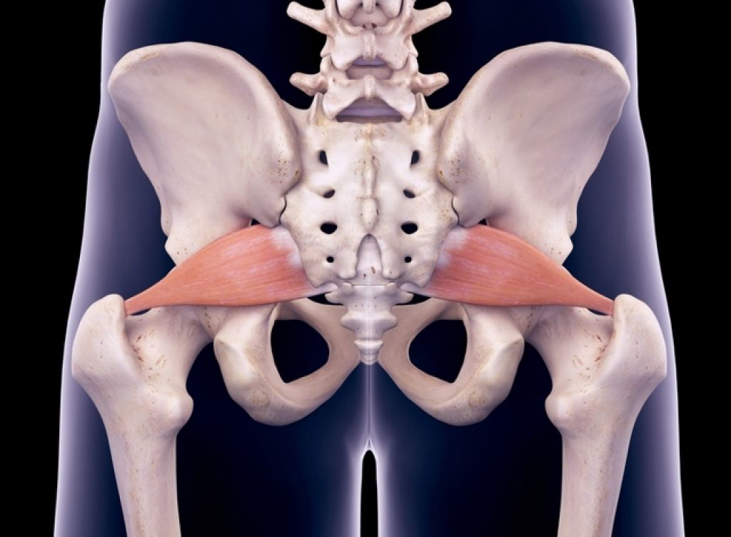 Грушевидная Piriformis