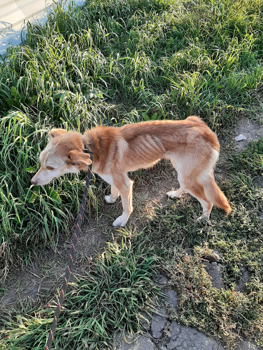 Его первая фотография.