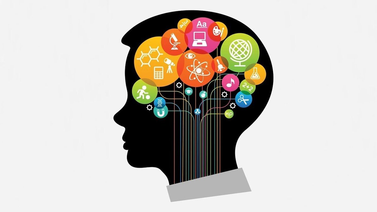 Программа, это информационно алгоритмический модуль, который реализуется, в работе нейронной системы мозга человека.