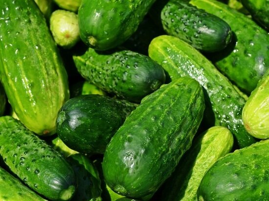     фото: pxhere.com