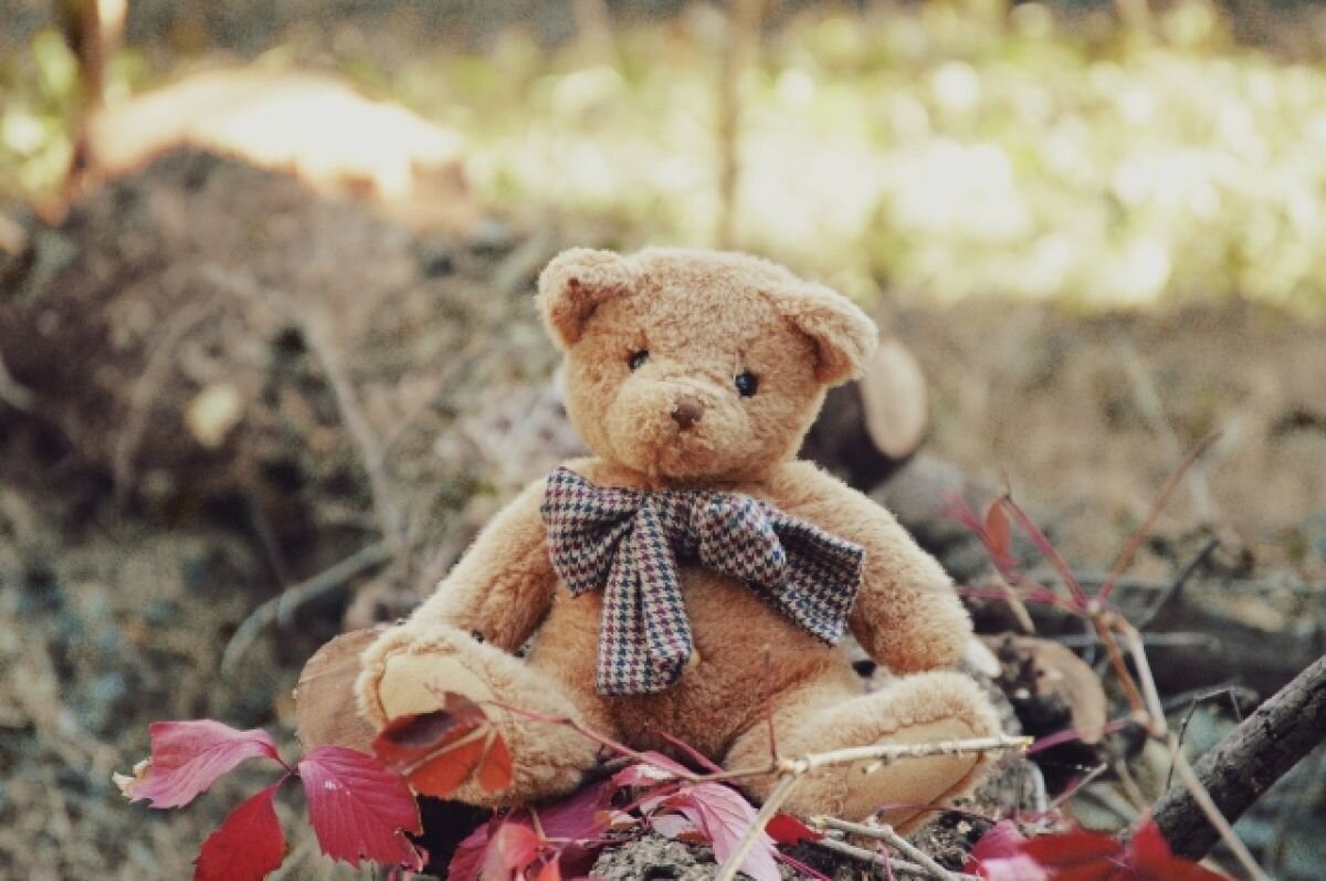    Волонтеры ВПСО «Сова» рассказали, как ищут детей в Тверской области