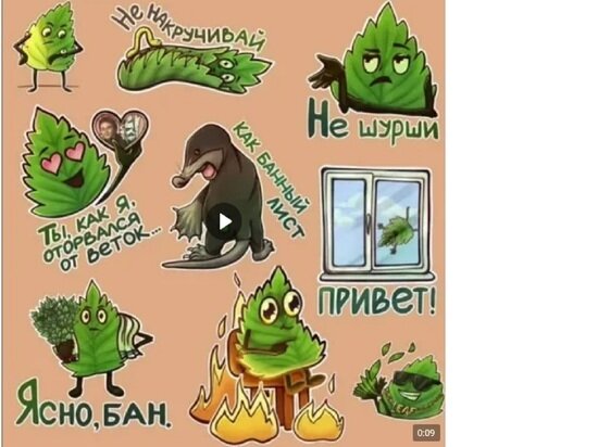     Скрин видео минприроды Калужской области