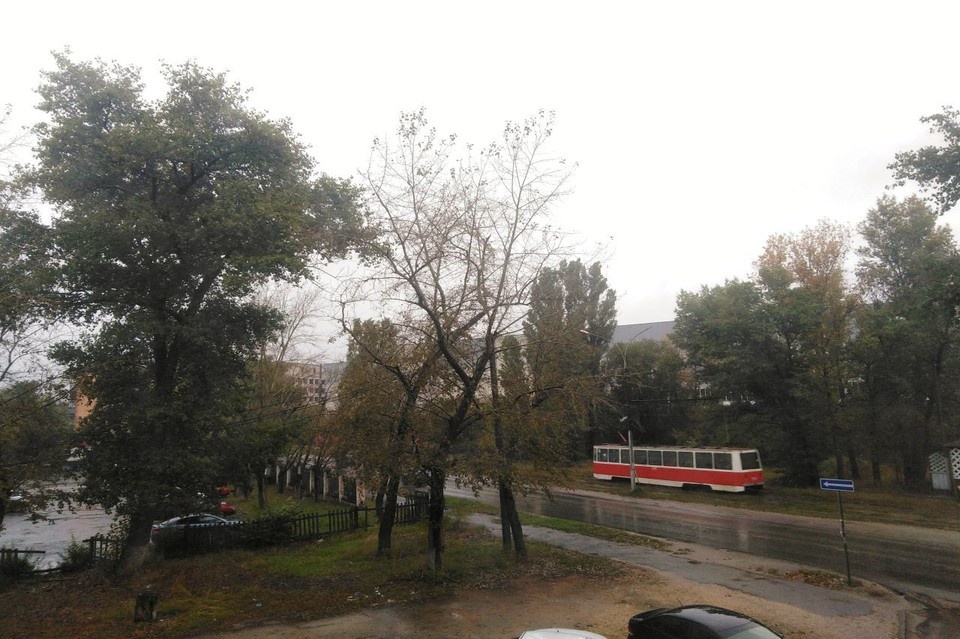     В Липецке дождливо Анастасия ЛИСОВА
