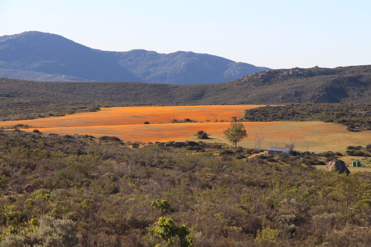 Холмы Намакваленда в сентябре из окна автомобиля 