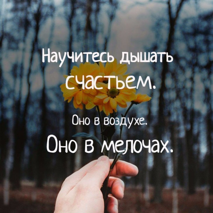 Фото из интернета