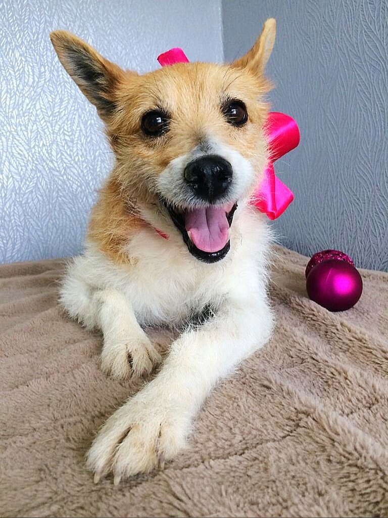 Москва и МО, метис, девочка, 4-5 лет  Можно листать 