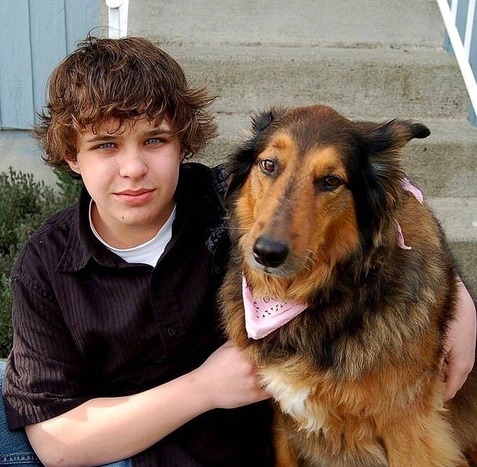 Яндекс картинки 