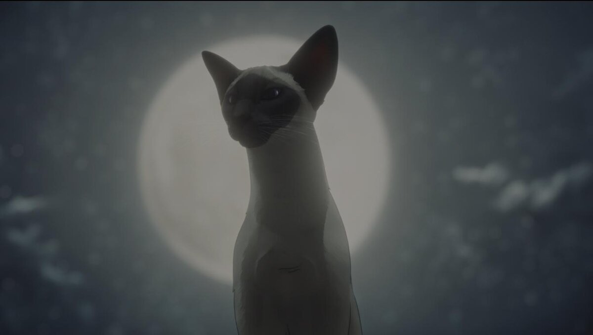 кошатина довольно колоритная