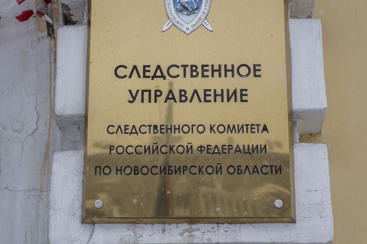    Возбуждено дело против опеки после изнасилования мальчика под Новосибирском