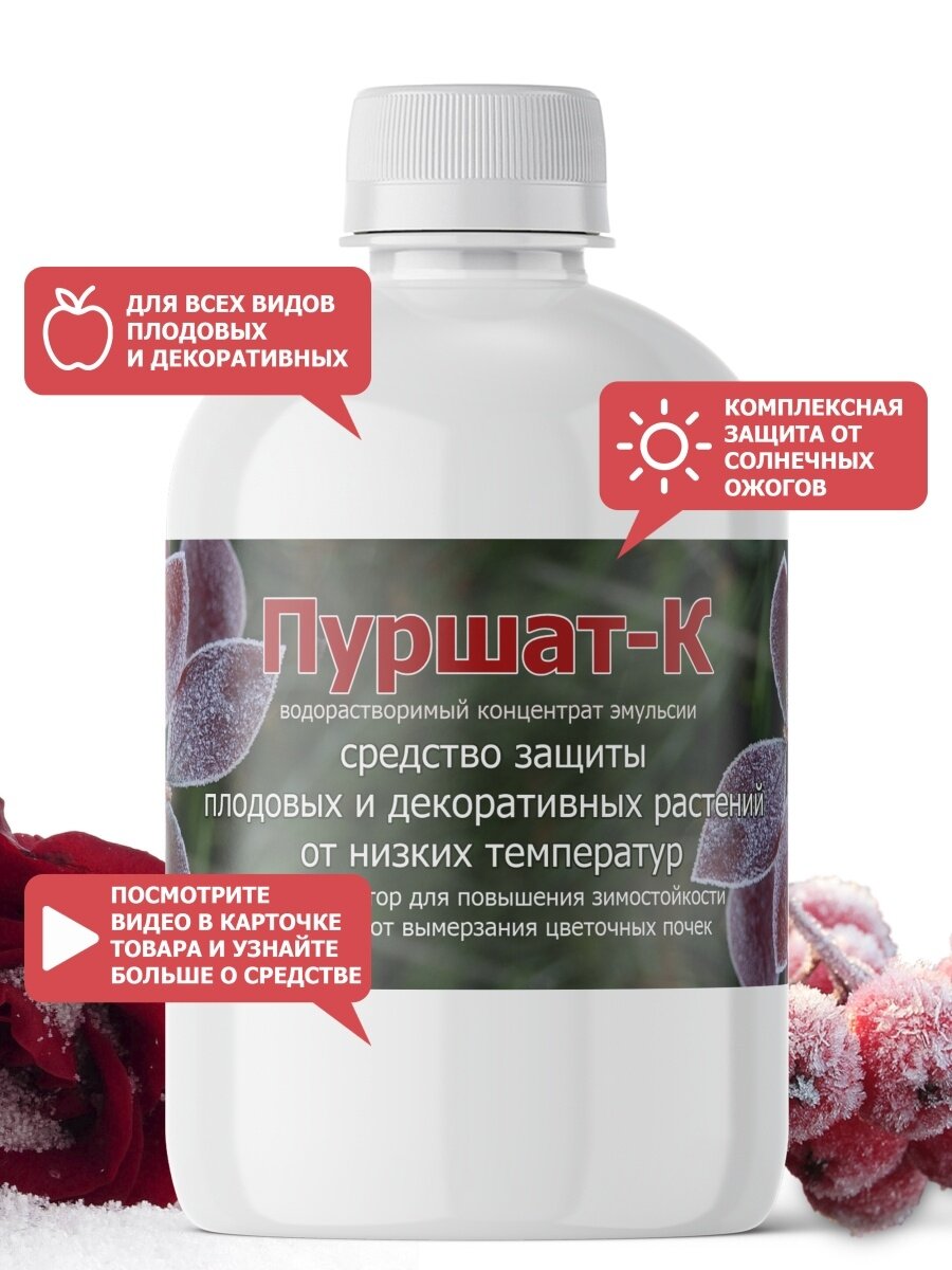 ВИДЫ ПУРШАТА – ПЛЮСЫ И МИНУСЫ. НАШ САМЫЙ ЧЕСТНЫЙ ОБЗОР. | Студия ART ...
