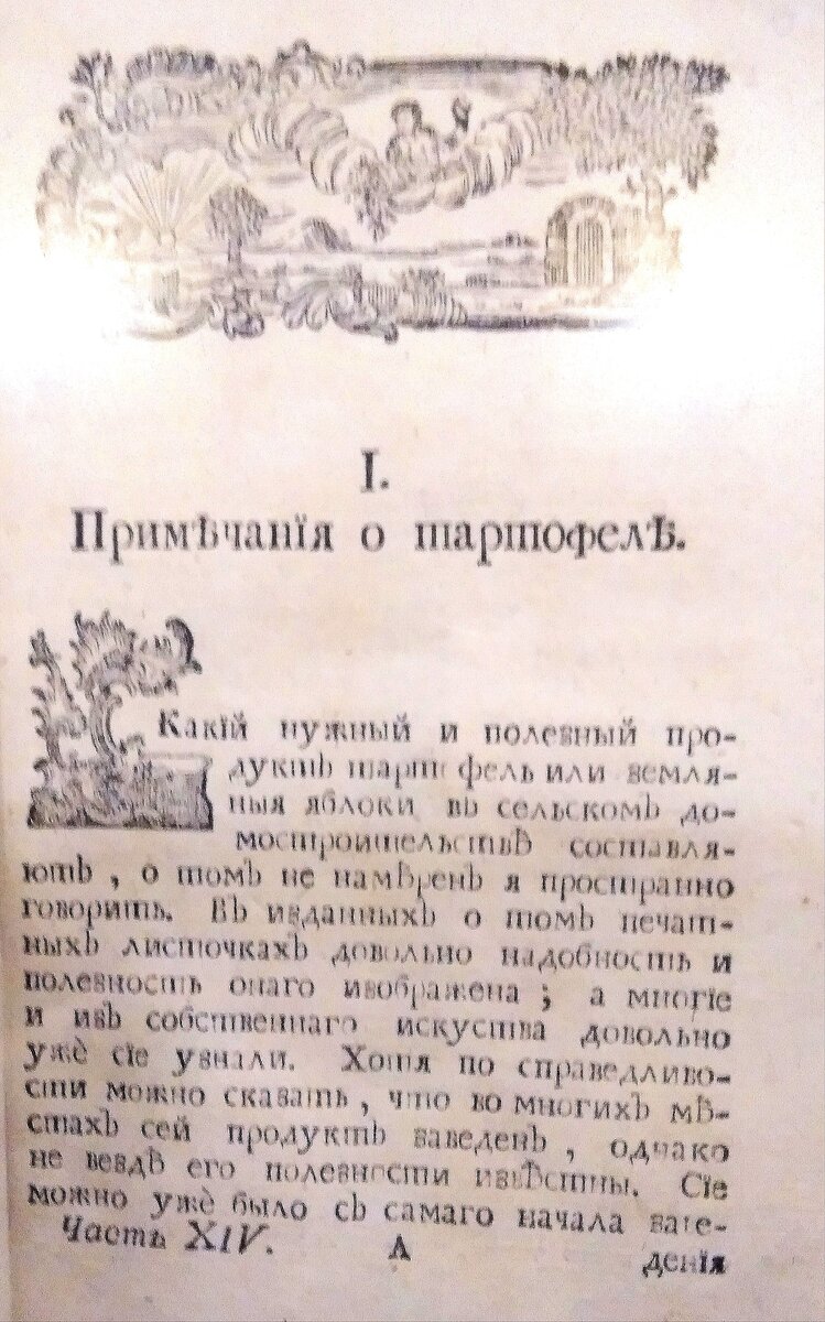 Сын Екатерины II и Григория Орлова - Алексей Бобринский. | Результат ...