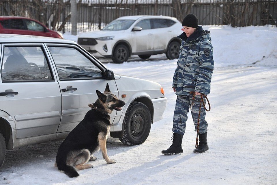     Продолжаются поиски еще двоих мальчиков. Тематическое фото Владимир ВЕЛЕНГУРИН