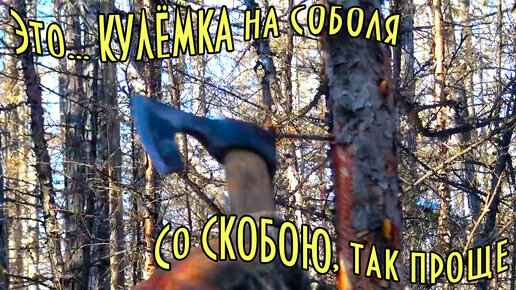 Охота на соболя