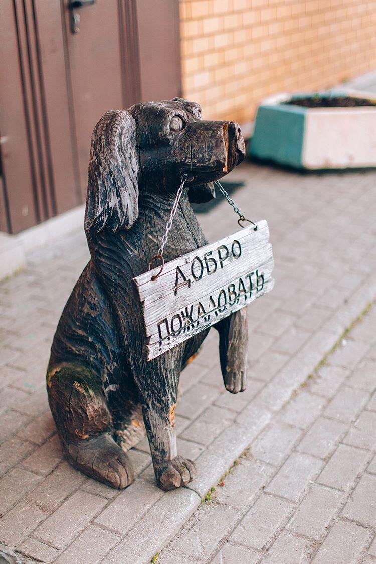 Муниципальный приют Кожухово.