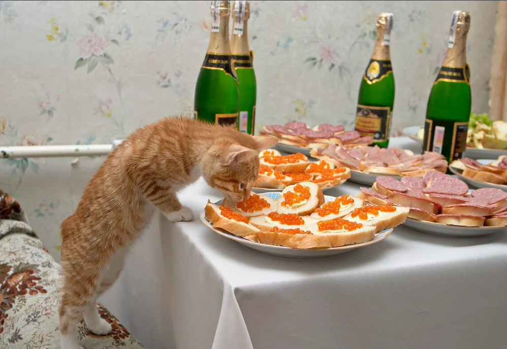 бессовестное поведение