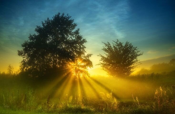 10 заповедей оптимиста. 