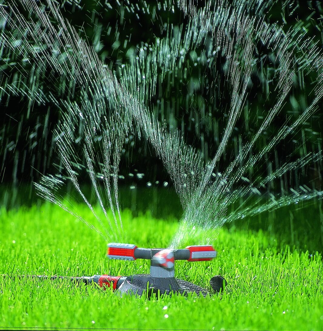 фото с Интернета