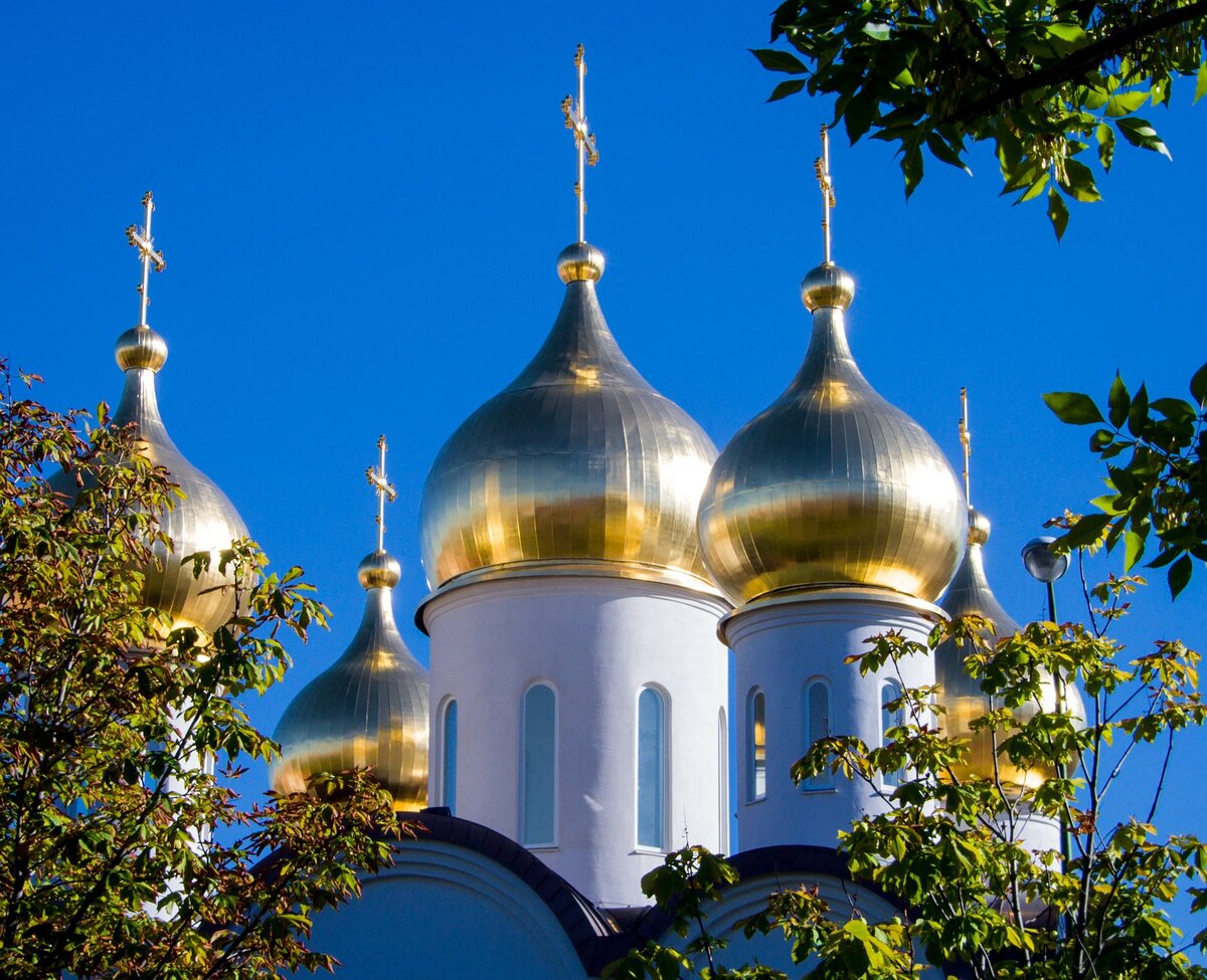 Фото: pixabay