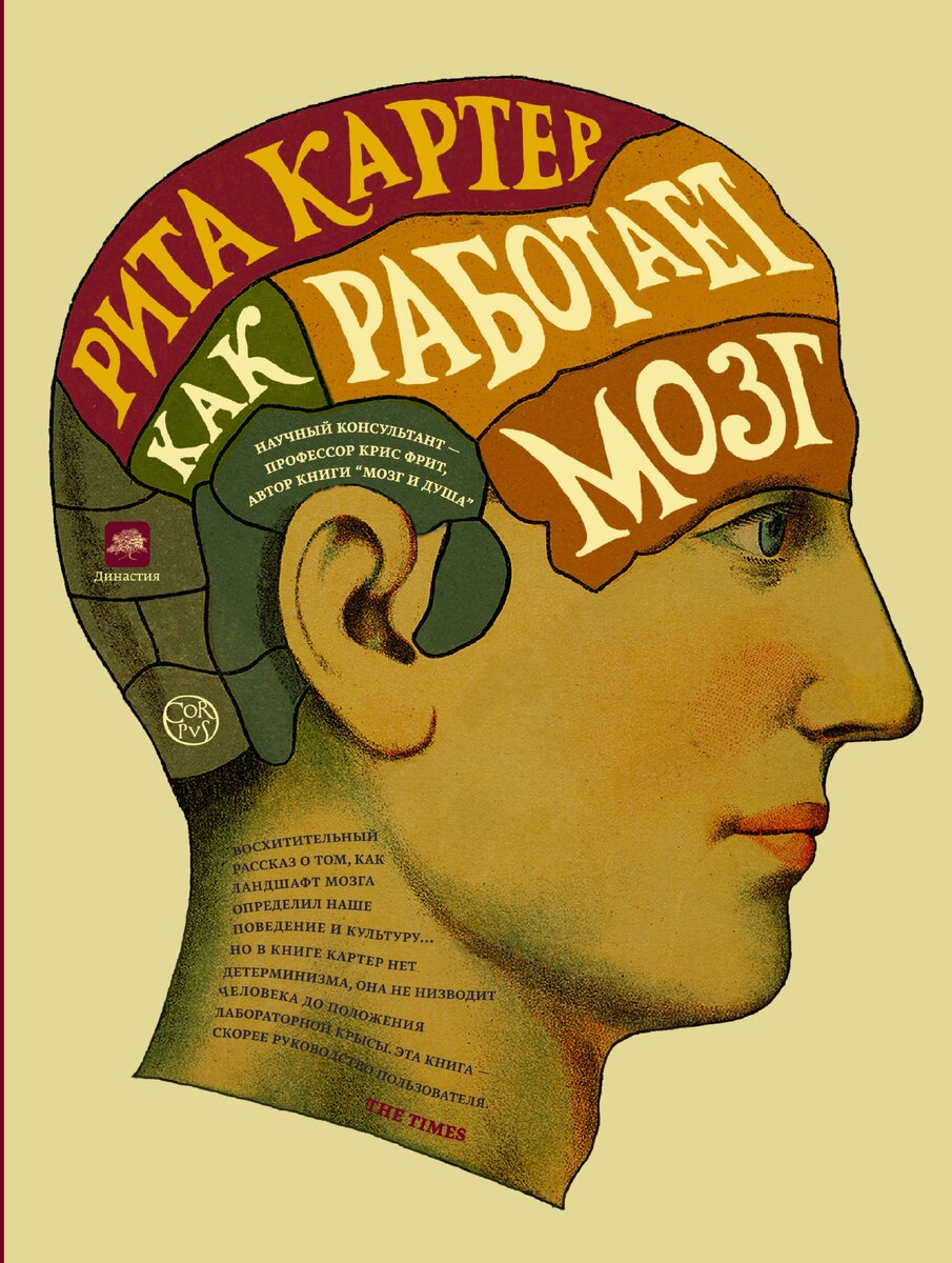 Обложка книги Риты Картер «Как работает мозг»