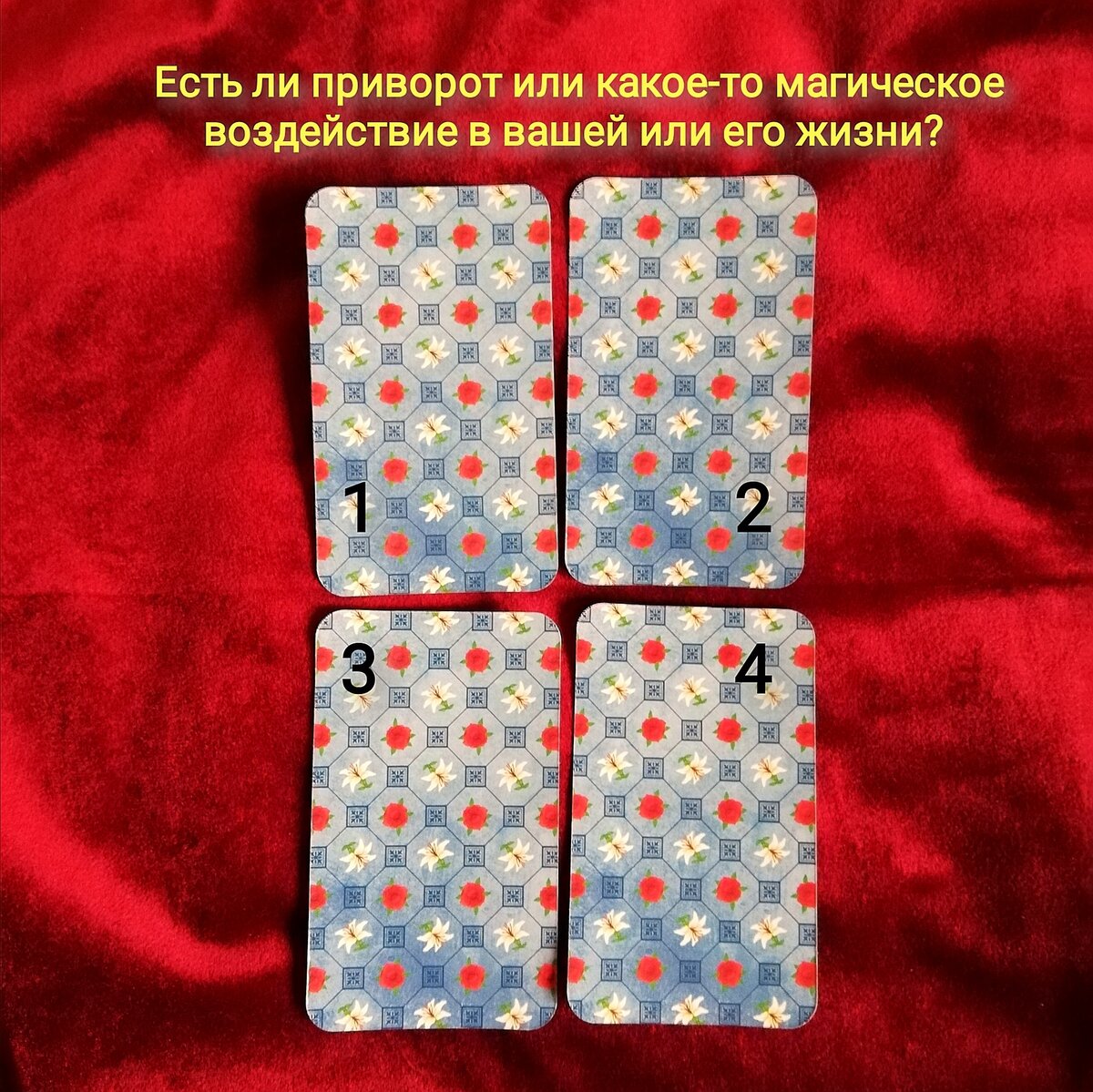 Выберете одну карту 