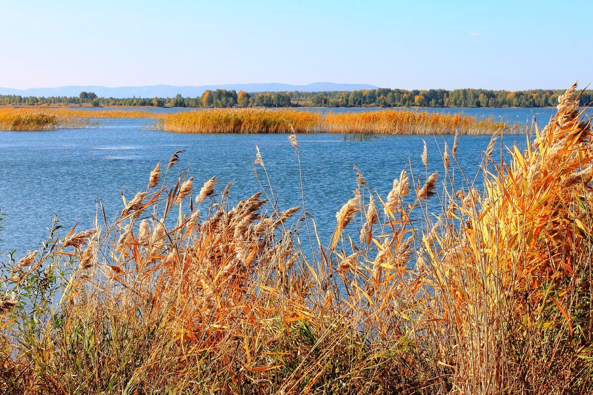 Бородулиха казахстан