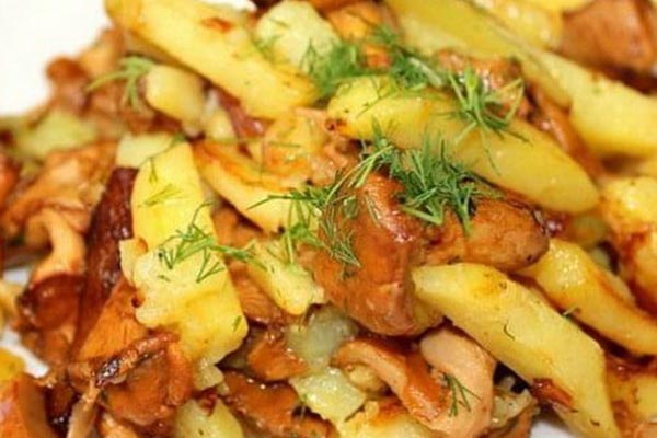 Как приготовить лисички с картошкой на сковороде: лучший рецепт