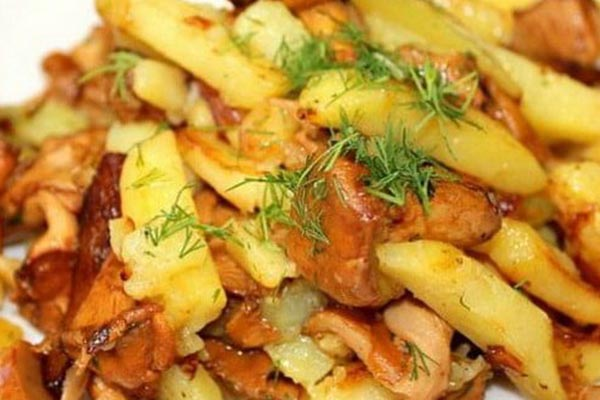 Жареные лисички с картошкой и сметаной