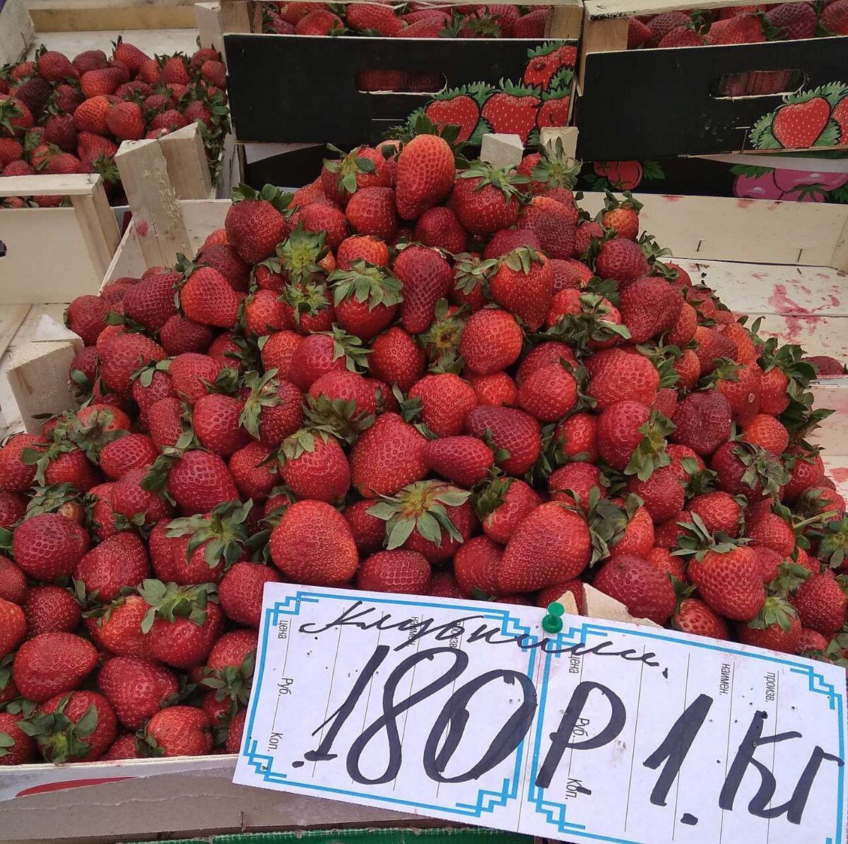 Клубника из Краснодарского края