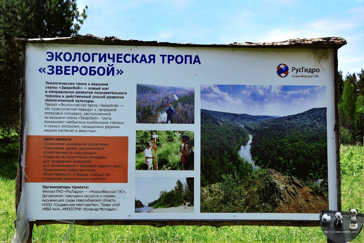 Тропа зверобой. Тропа зверобой. Зверобой экологическая тропа новосибирск. Бердские скалы новосибирская экологическая тропа. Экологическая тропа зверобой бердские скалы.