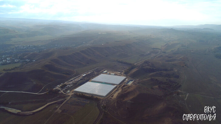 © avatars.mds.yandex.net
